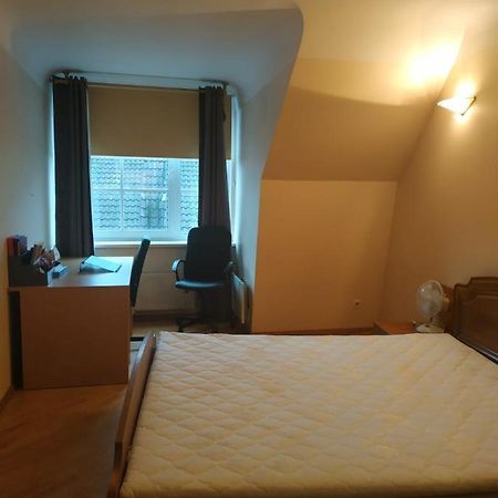 Red Nose Roof-Top Apartment ريغا المظهر الخارجي الصورة