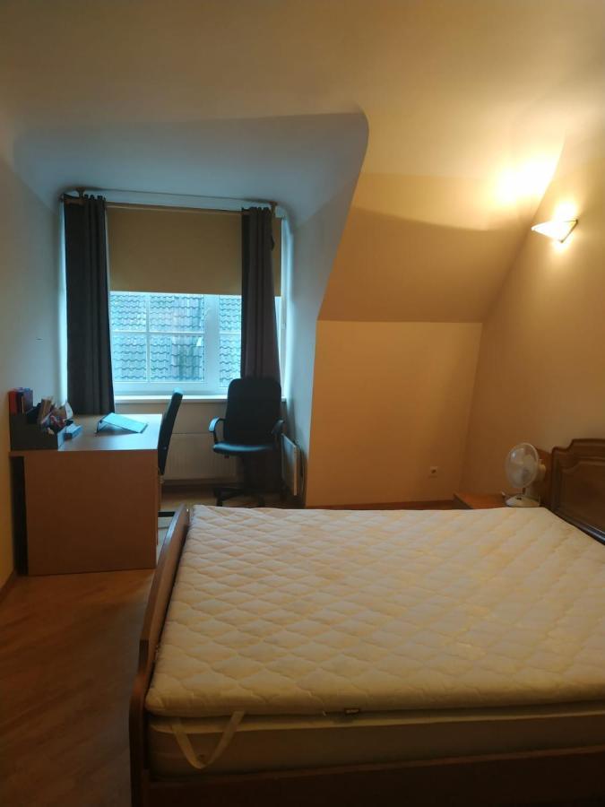 Red Nose Roof-Top Apartment ريغا المظهر الخارجي الصورة